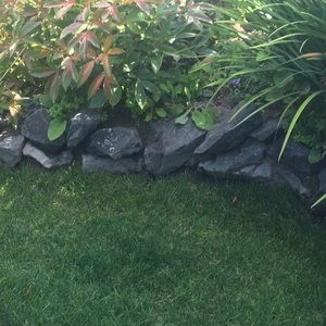 Meet your Posher, Rosalind